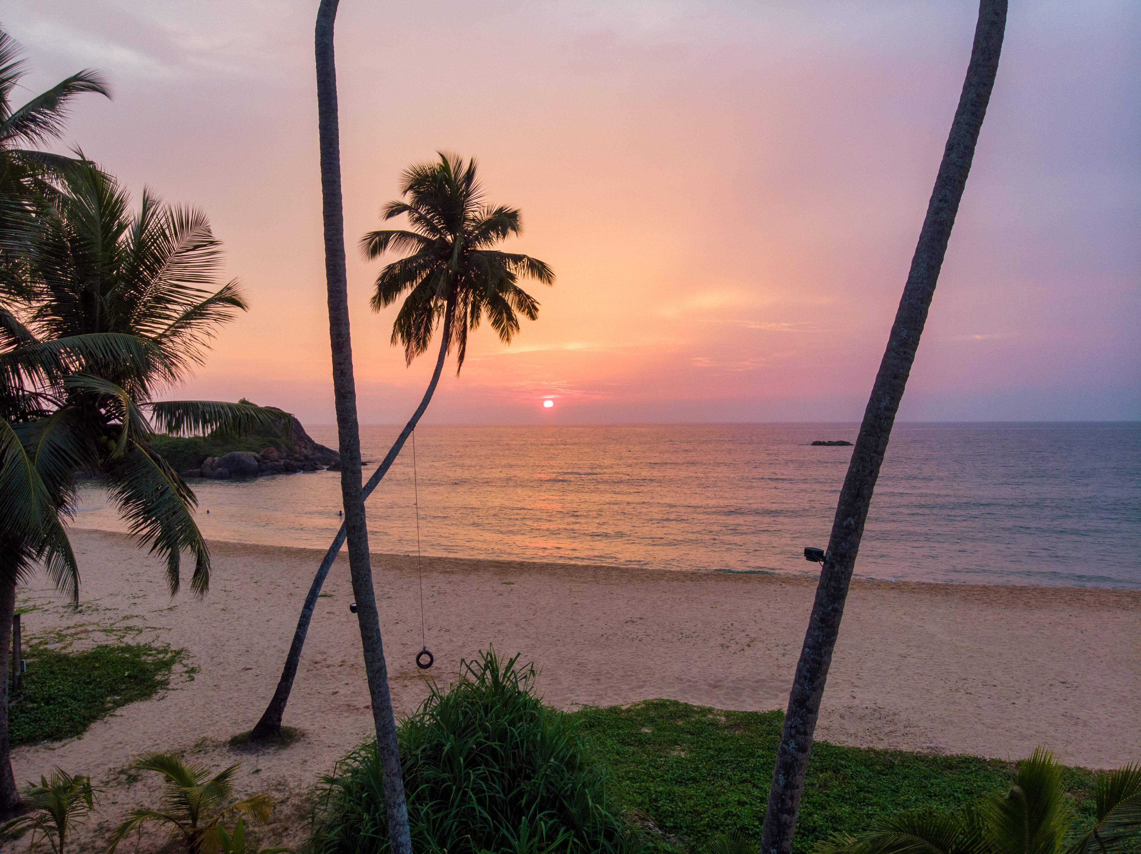 A beach scene with palm trees and a sunset over the ocean.