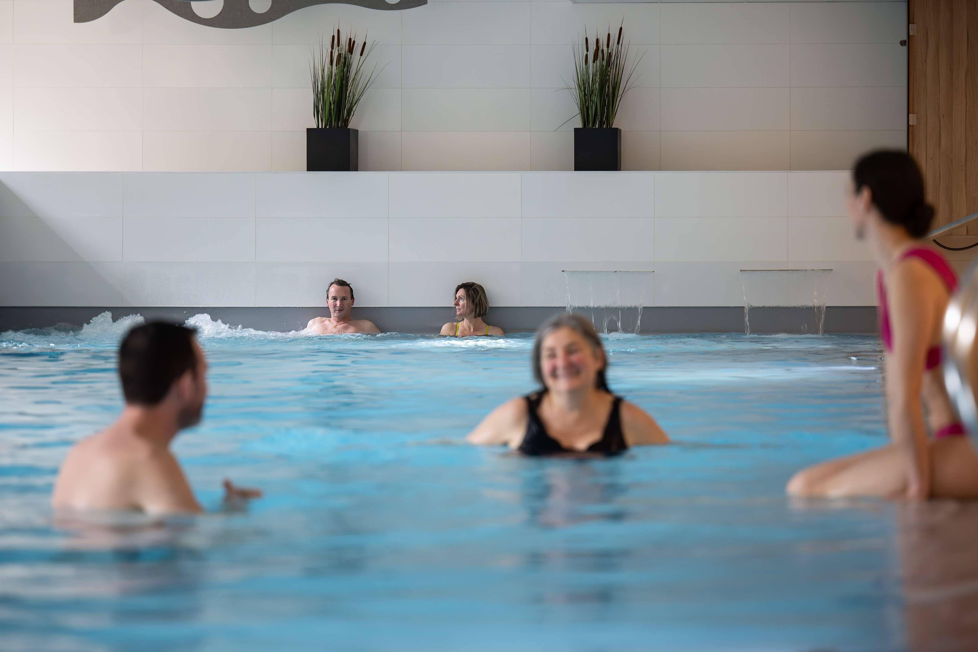 An indoor swimming pool with clear water, tiled walls, and potted plants on the wall.