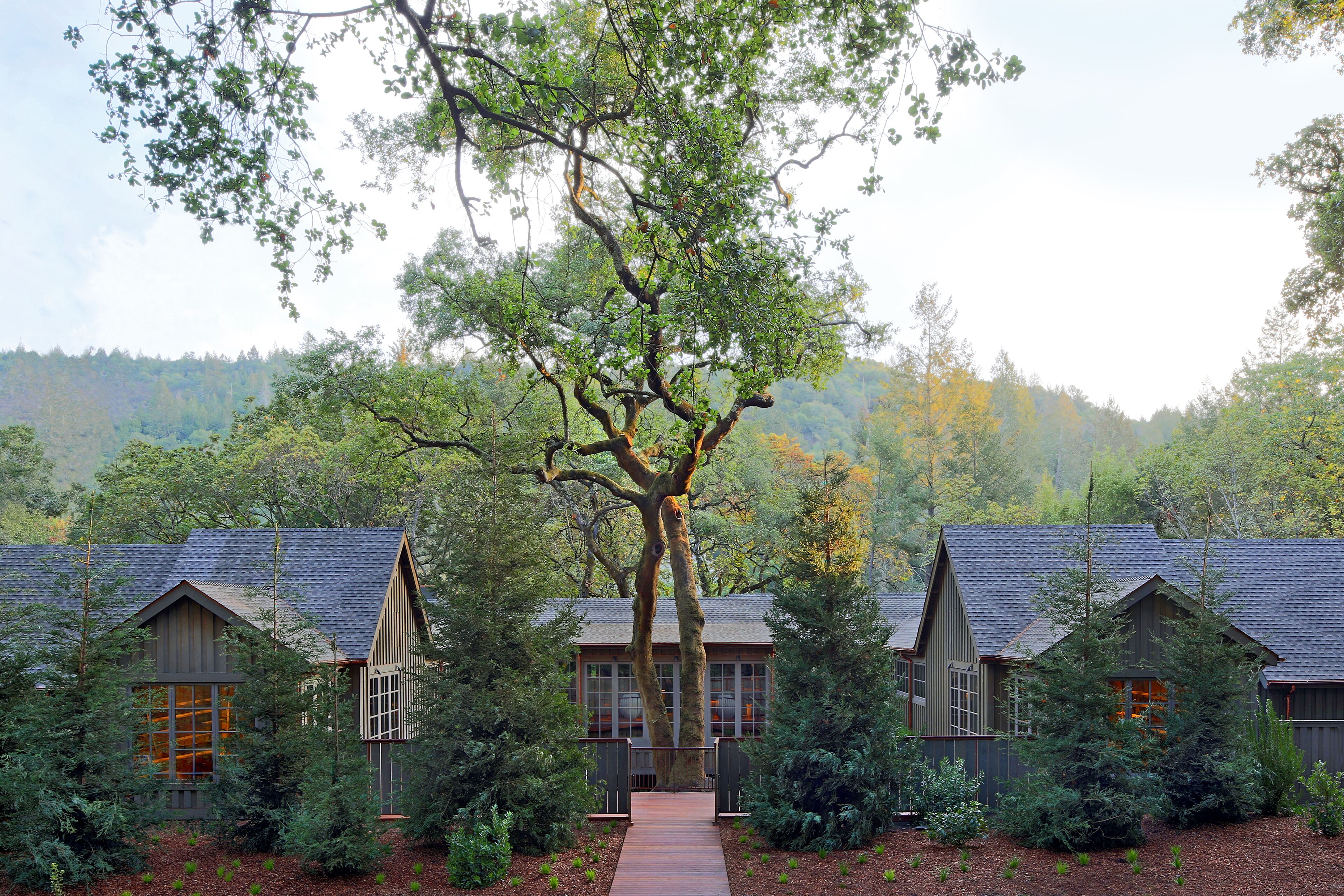 Body treatments, aromatherapy, body wraps, body scrubs, facials