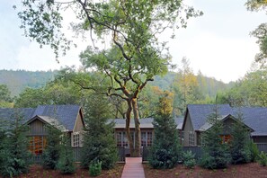 Soins corporels, soins d'aromathérapie, enveloppements corporels