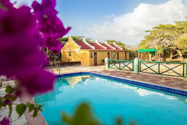 Outdoor pool, pool loungers