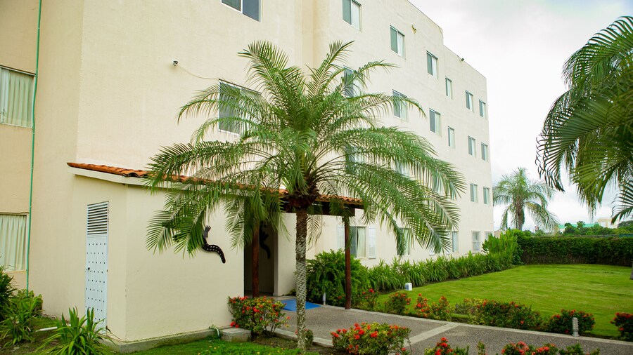 Hotel las Palomas Nuevo Vallarta