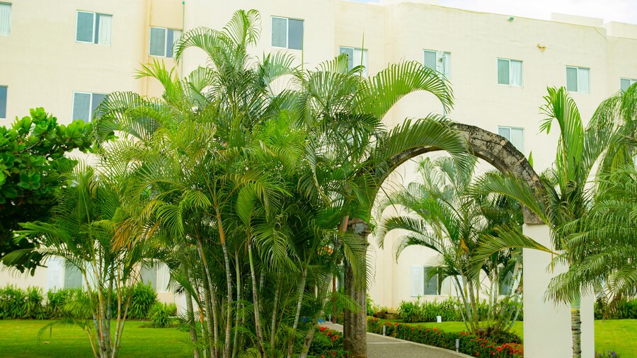 Hotel las Palomas Nuevo Vallarta