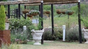 Un jardin agrémenté d’une pergola, de jardinières suspendues et d’un vase décoratif.