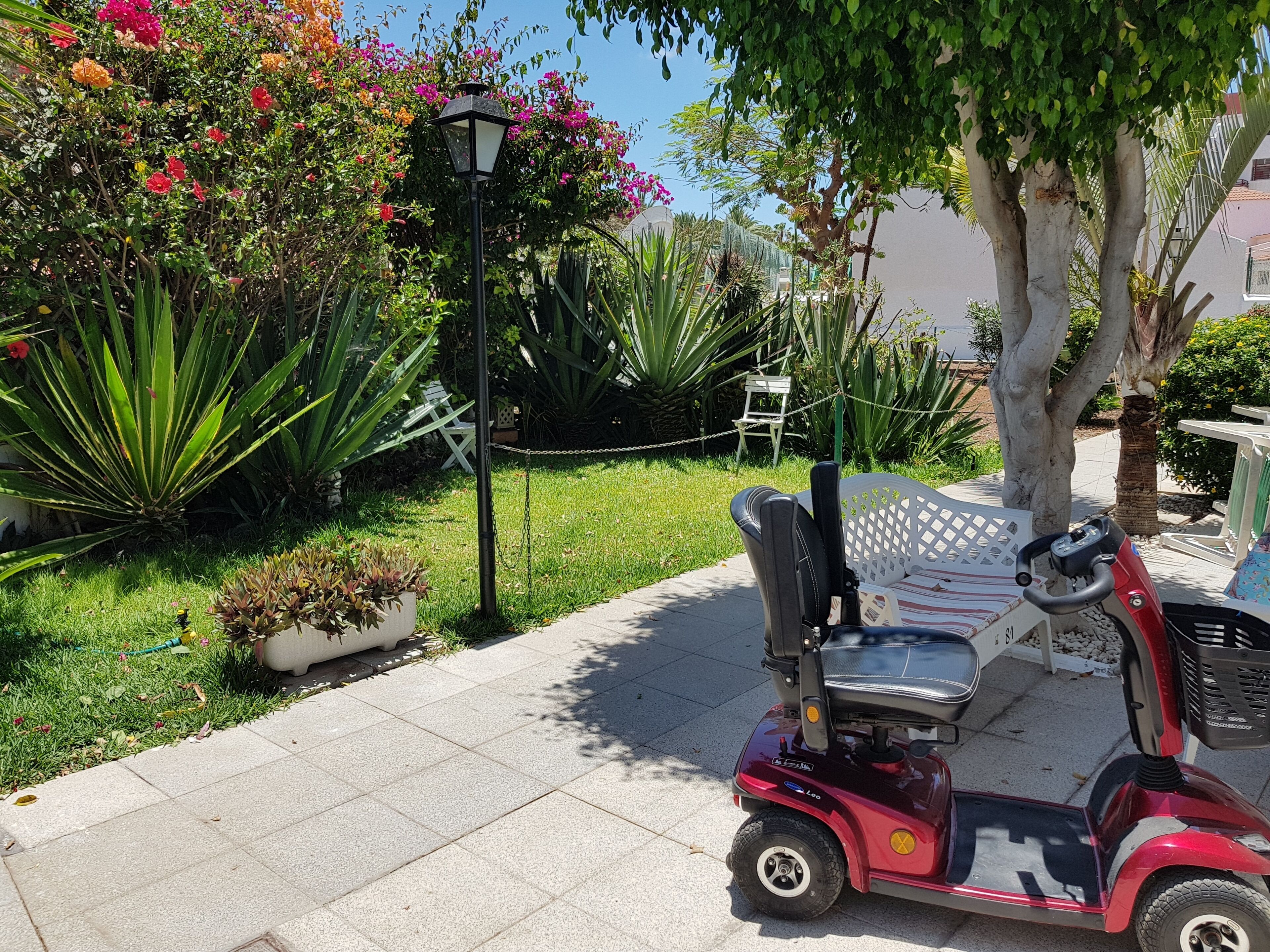 Foto - Apartamentos Tinerfe Garden