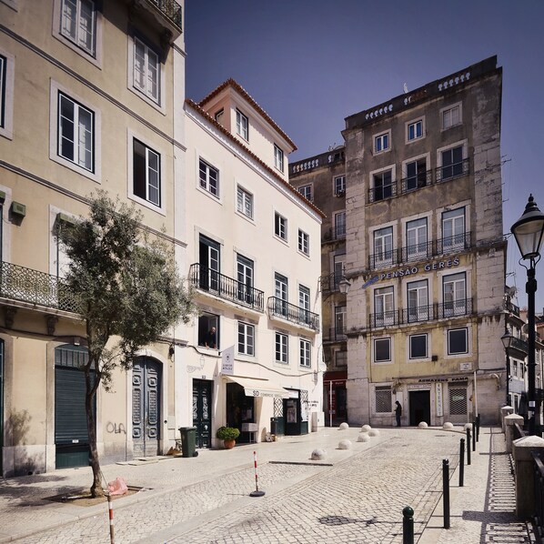 Una calle adoquinada con edificios históricos, un árbol y un cielo despejado.