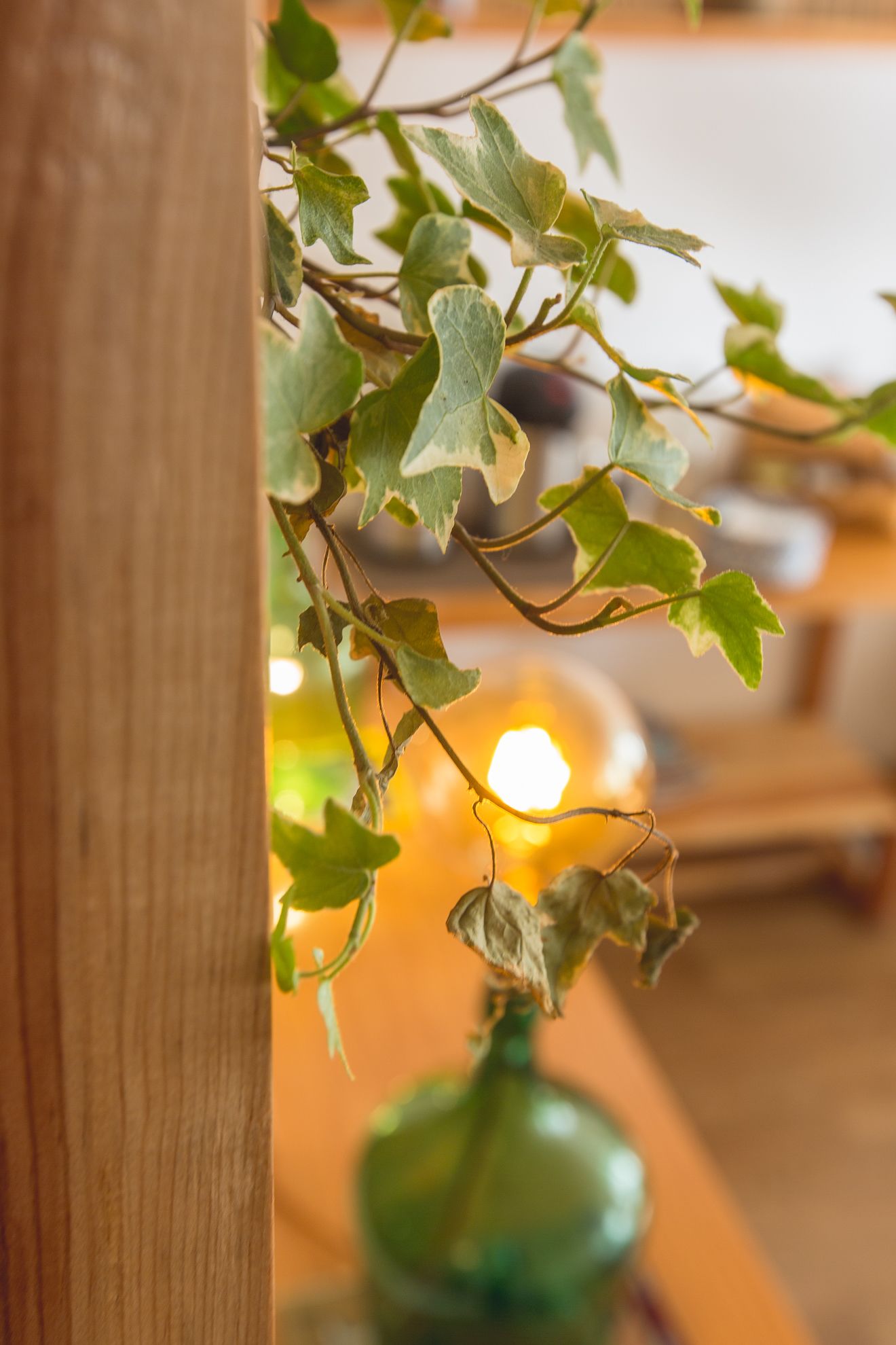 Photo - Lisbon Story Guesthouse