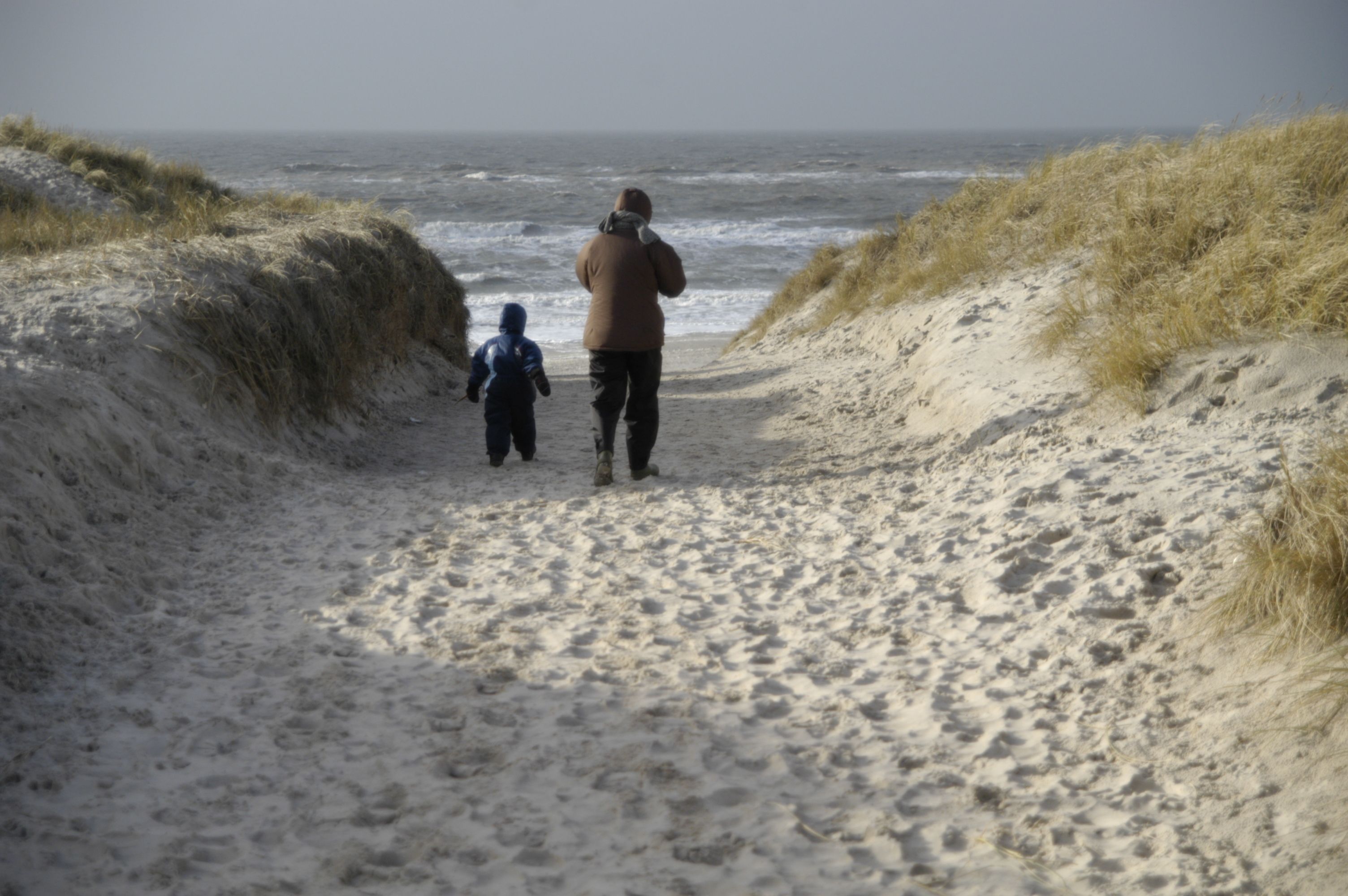 A sandy path leading to the ocean with dunes on either side.