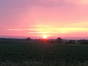 Vista desde la habitación