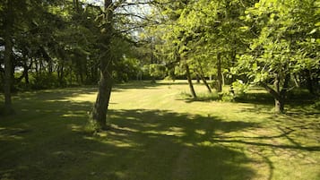 A park with a grassy path surrounded by trees.