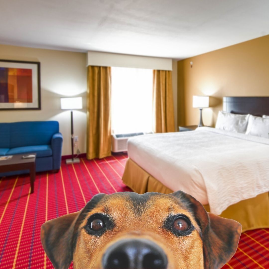 studio suite, multiple beds (mobility accessible, tub) | premium bedding, in-room safe, desk, iron/ironing board