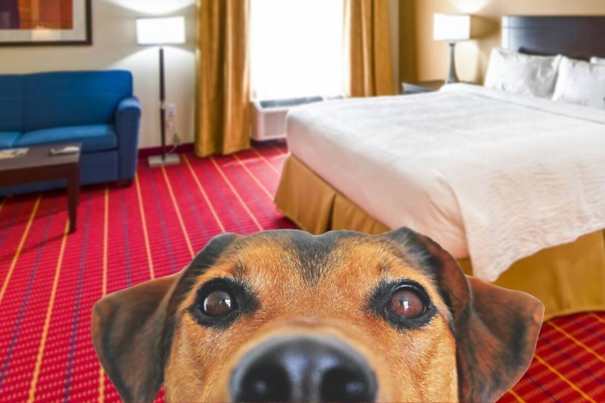 studio suite, multiple beds (mobility accessible, tub) | premium bedding, in-room safe, desk, iron/ironing board