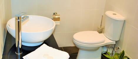 A bathroom with a white sink, toilet, and a small plant on the floor.