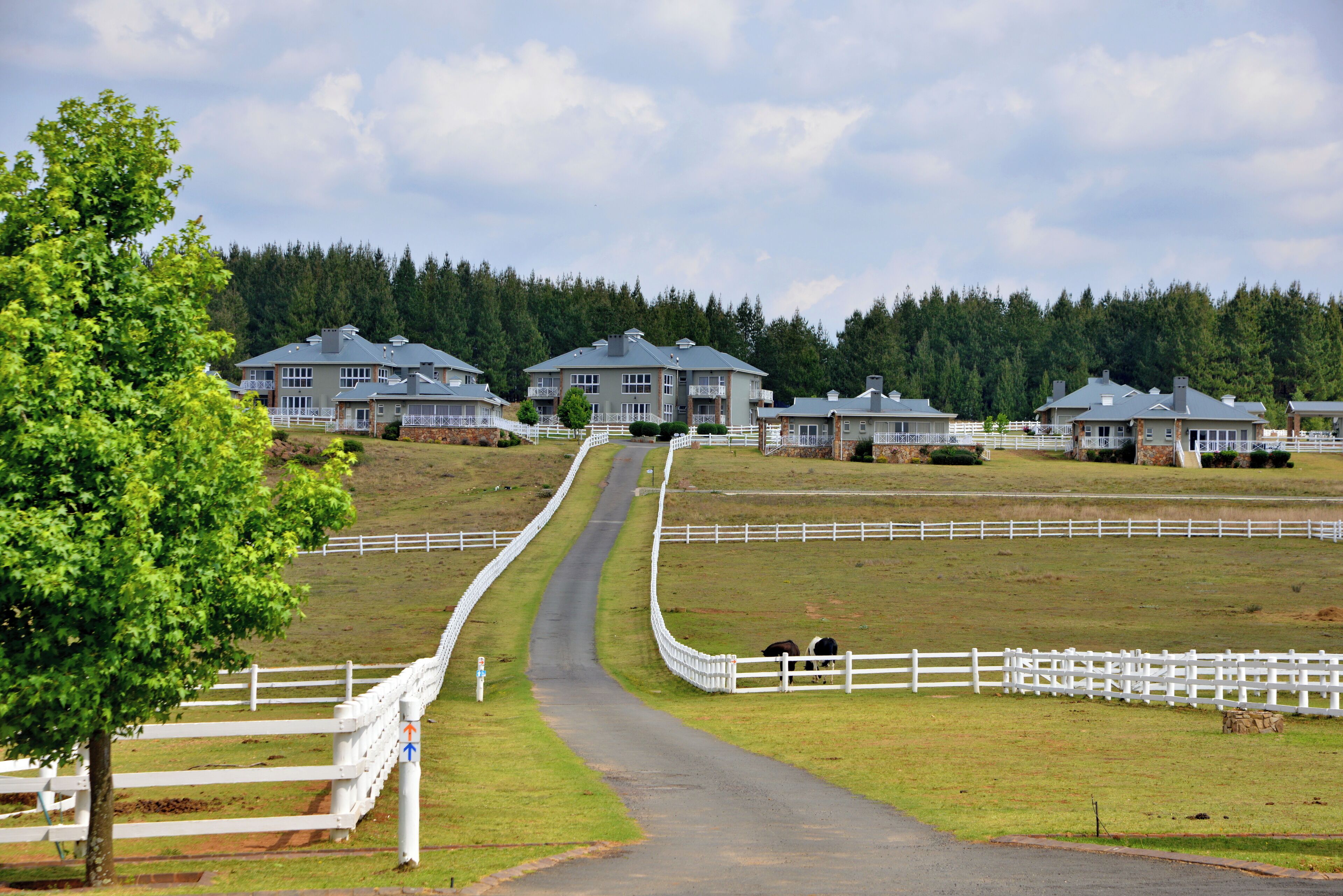 A rural property with multiple buildings, a winding road, and fenced areas.