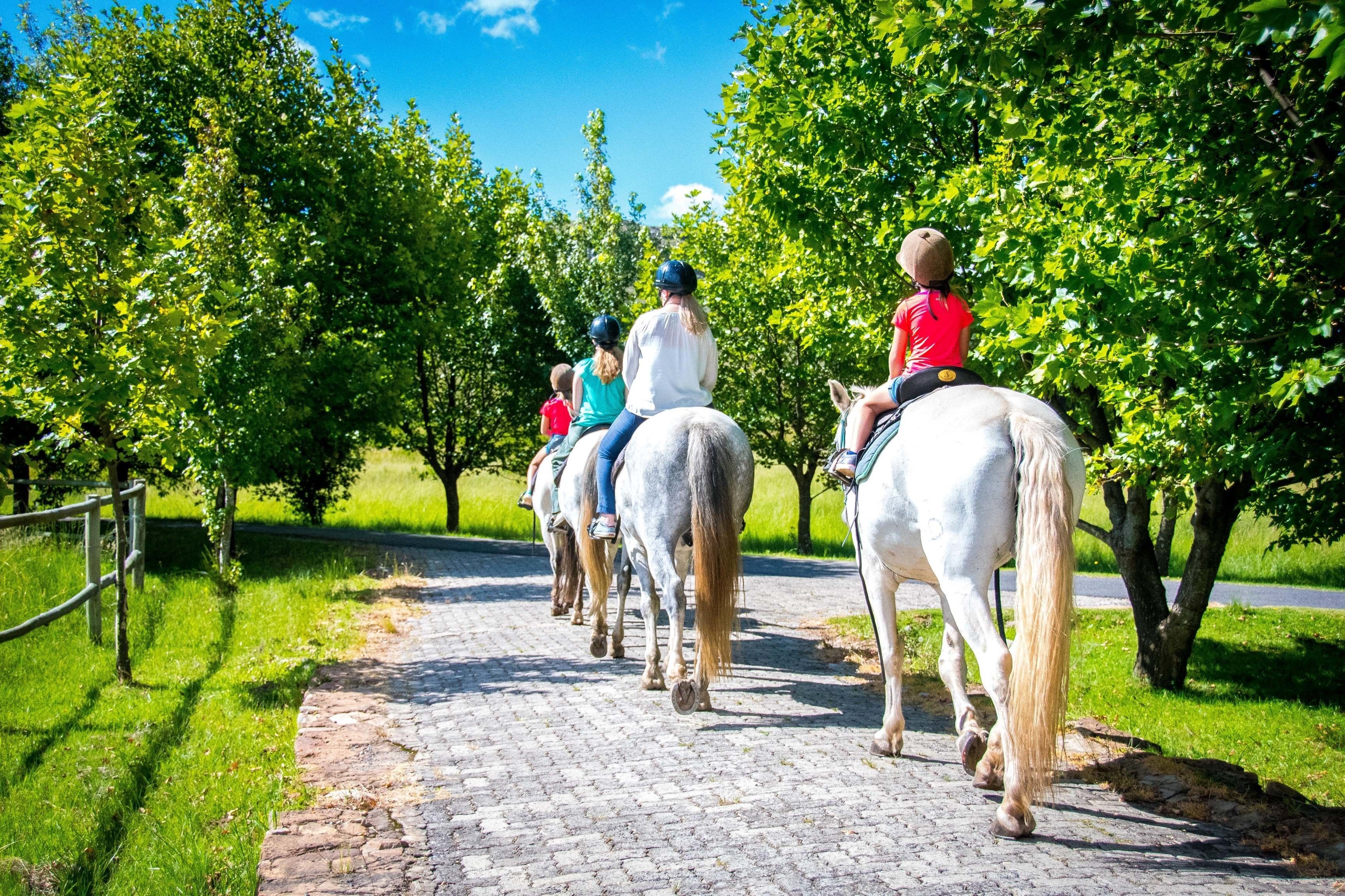 A group of people riding horses on a cobblestone path surrounded by lush greenery.