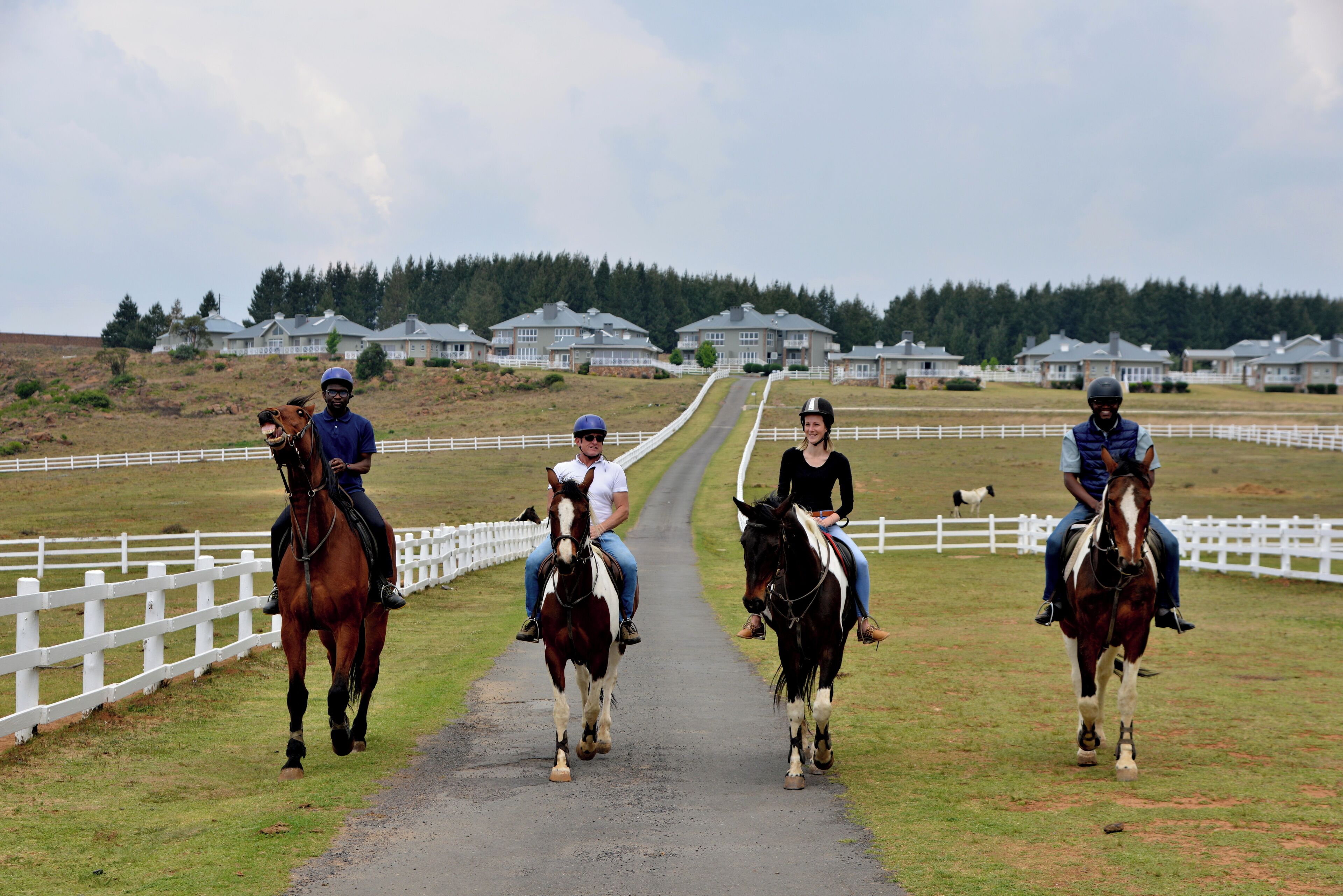 A group of people riding horses on a paved path with white fences on both sides, leading to a row of houses in the background.
