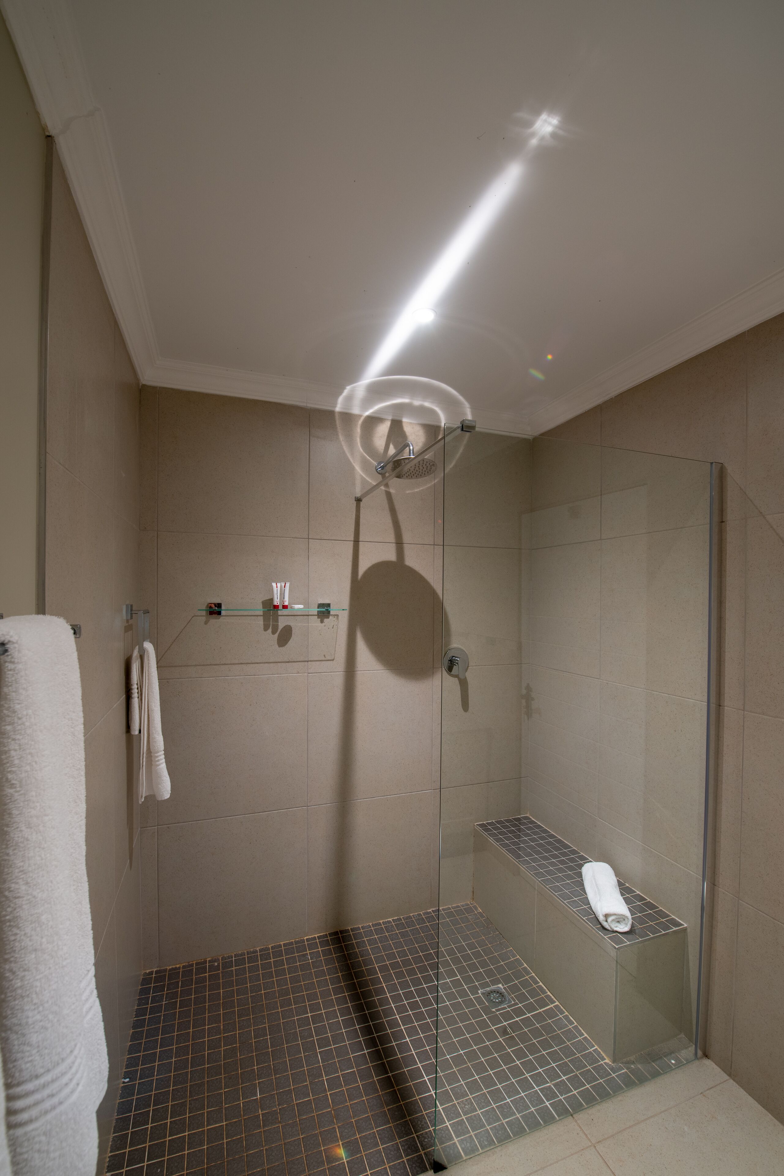 Eine moderne Dusche mit Glastür, Handtuchhalter und Ablagefläche für Toilettenartikel.