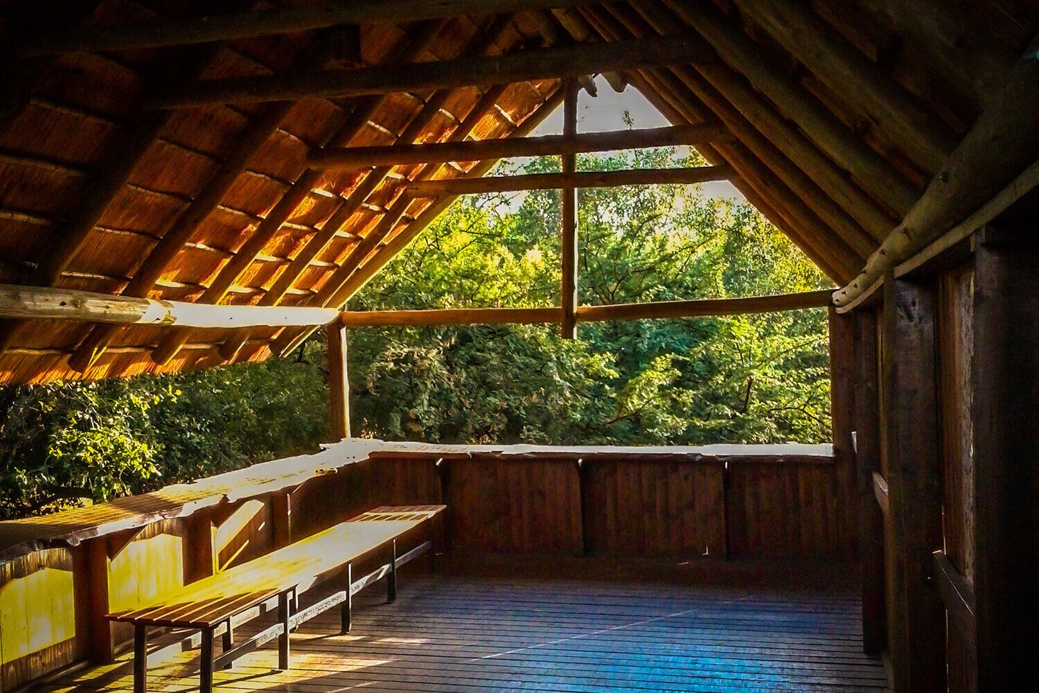Um deck de madeira com bancos, um telhado de palha e vista para o verde.