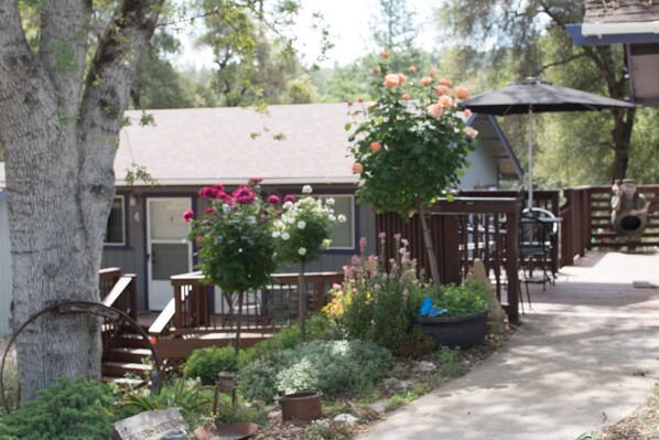 Garden - Little Valley Inn (Mariposa)