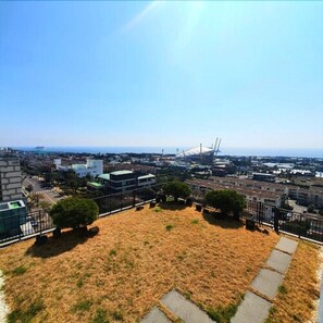 A rooftop garden with a view of the city and a bridge in the distance. - Hotel Bareve (Seogwipo)