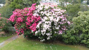 Unclassified image, 5 of 47, button - Penghana Bed & Breakfast (Queenstown)