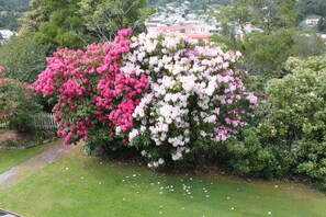 Garden - Penghana Bed & Breakfast (Queenstown)