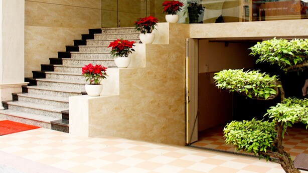 Entrada de un hotel con una escalera de mármol, plantas en macetas y un gran árbol en maceta.