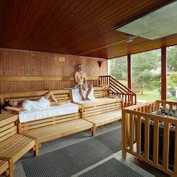 Sauna, vasca idromassaggio, bagno turco/hammam, trattamenti per il corpo