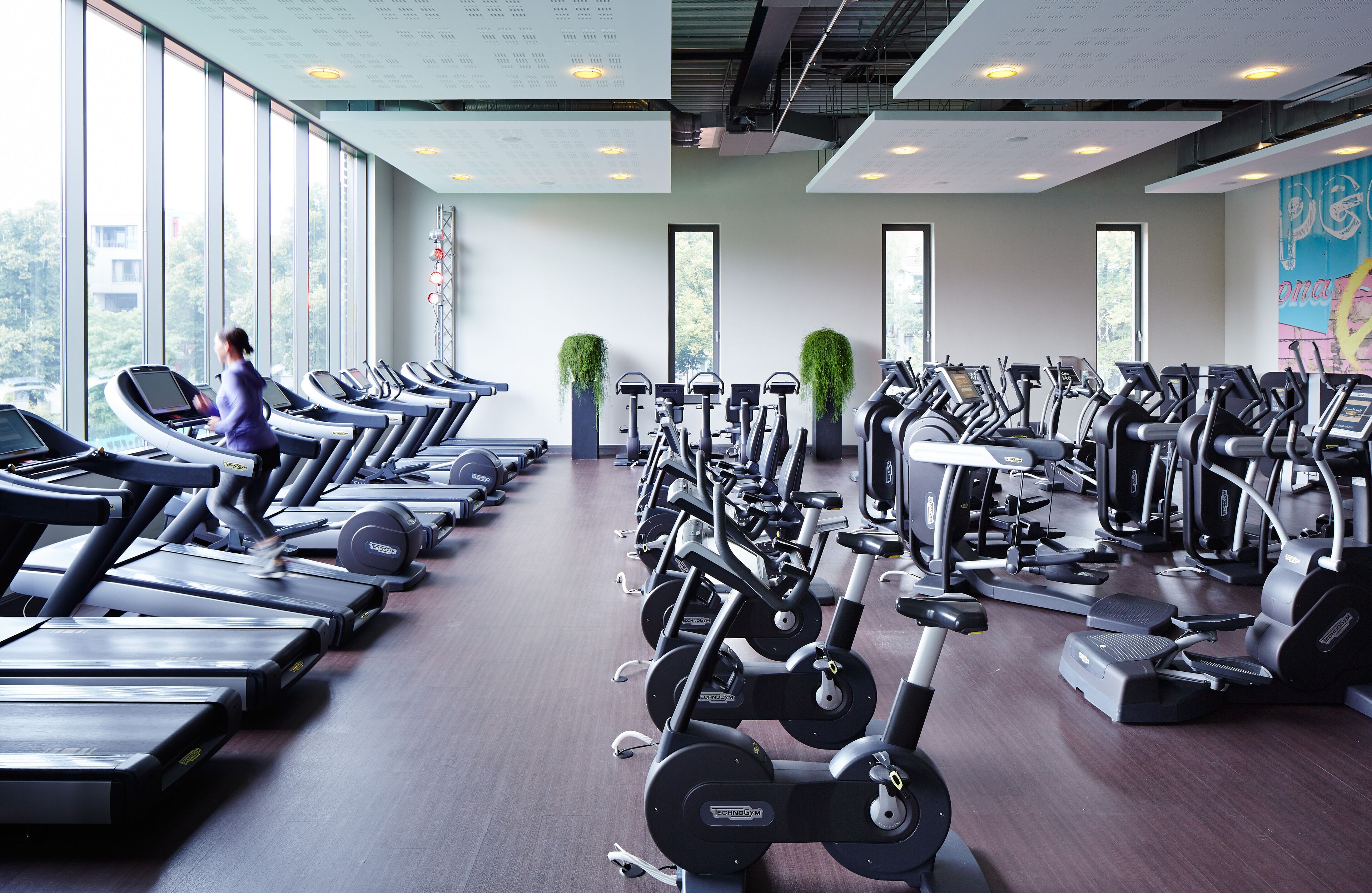 Una palestra con tapis roulant ed ellittiche, ampie finestre e piante da interno.