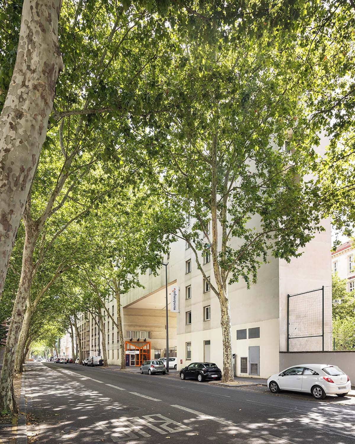 Eine von Bäumen gesäumte Straße mit einem modernen Gebäude, das eine glatte Fassade und viele Fenster hat.