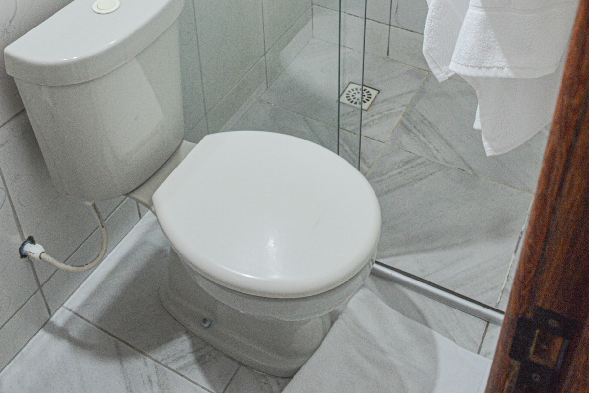 A bathroom with a toilet, a glass shower enclosure, and a towel rack.