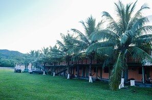 Trädgård