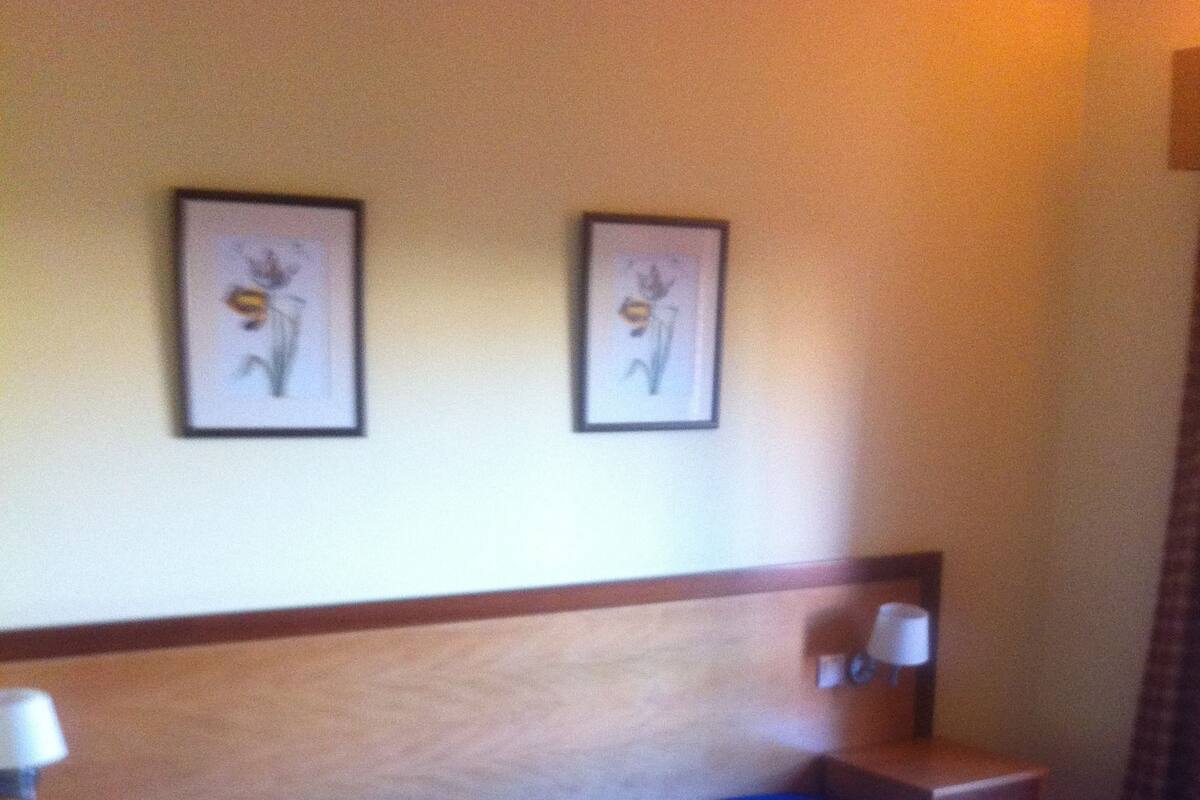 In-room safe, desk, rollaway beds, free WiFi