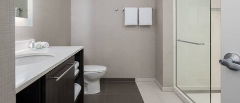 A modern bathroom with a glass shower enclosure, a white sink, and a toilet.