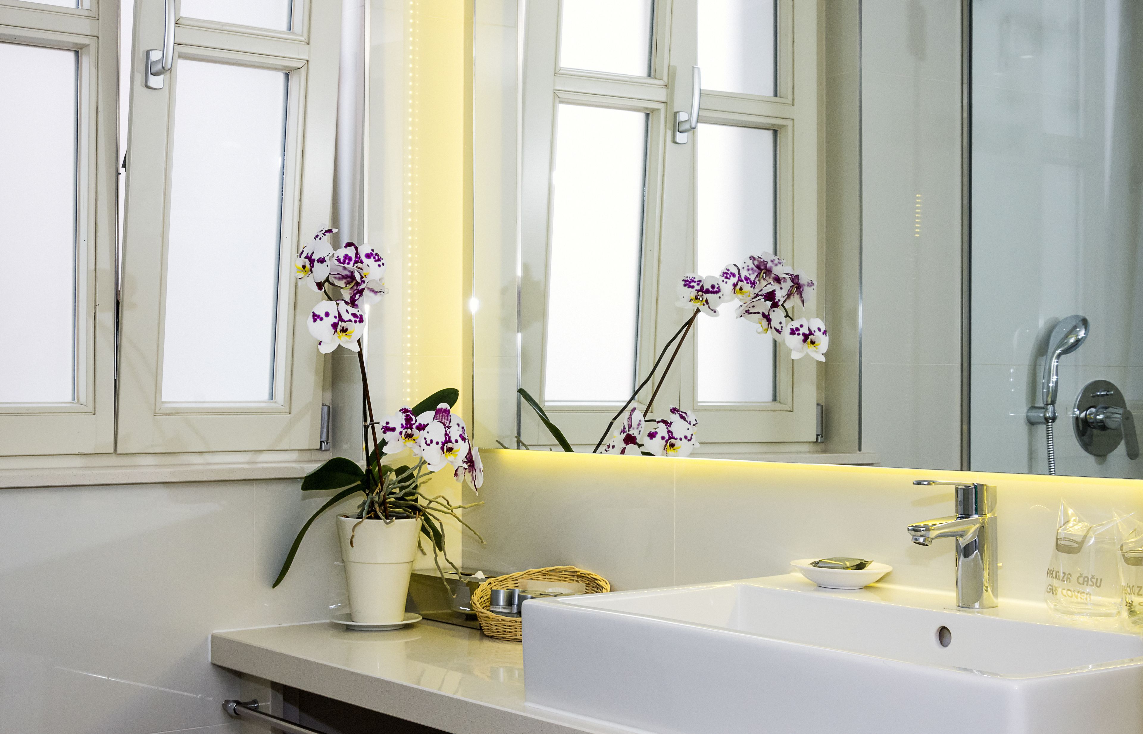 classic double or twin room | bathroom | rainfall showerhead, free toiletries, hair dryer, bathrobes