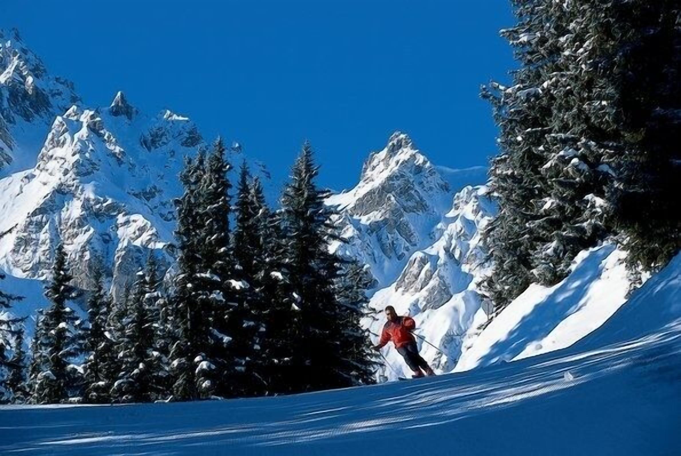 A skier on a snowy slope with snow-covered mountains and evergreen trees in the background.