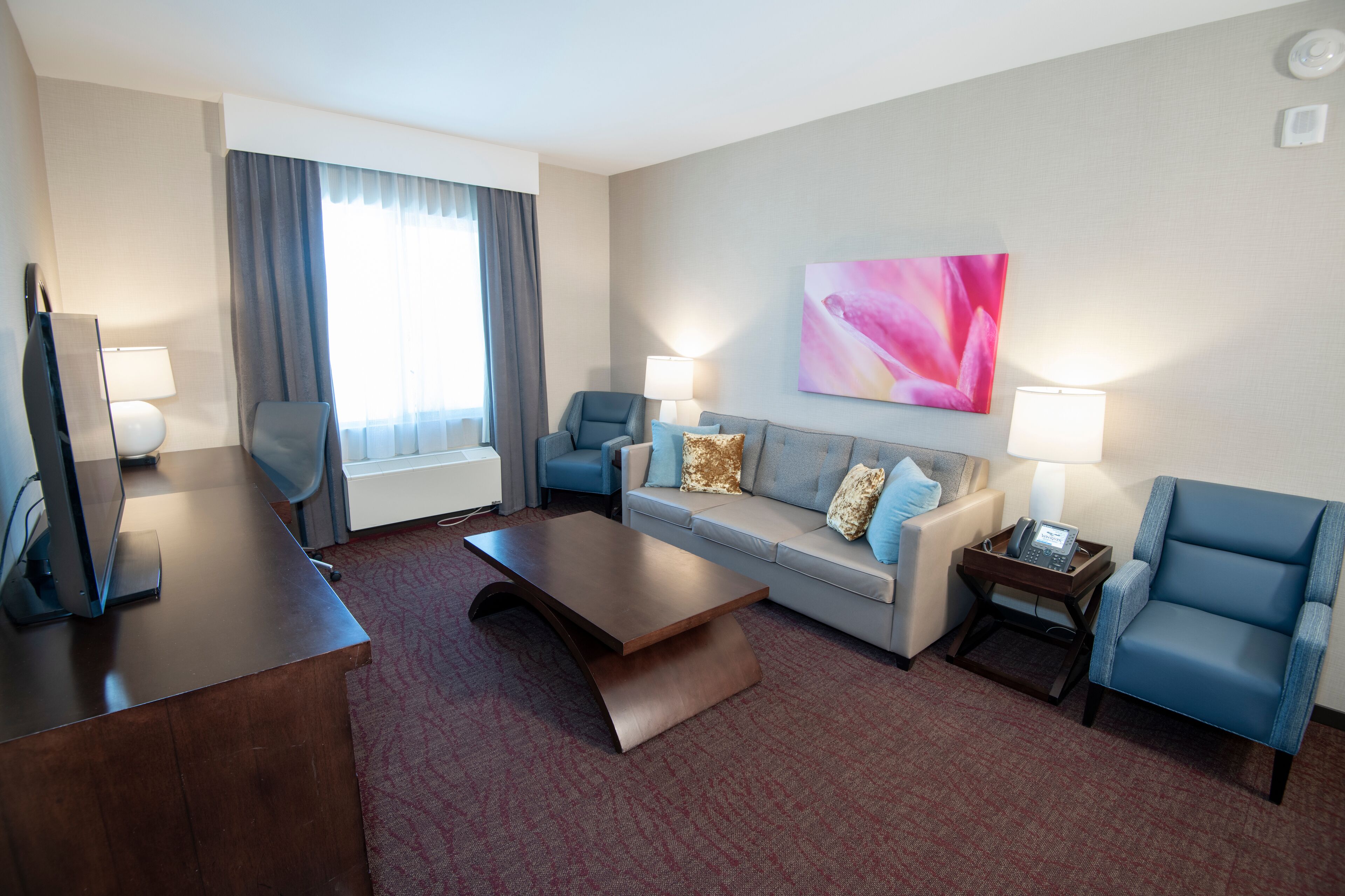 Suite | Area keluarga | TV layar datar dan film berbayar