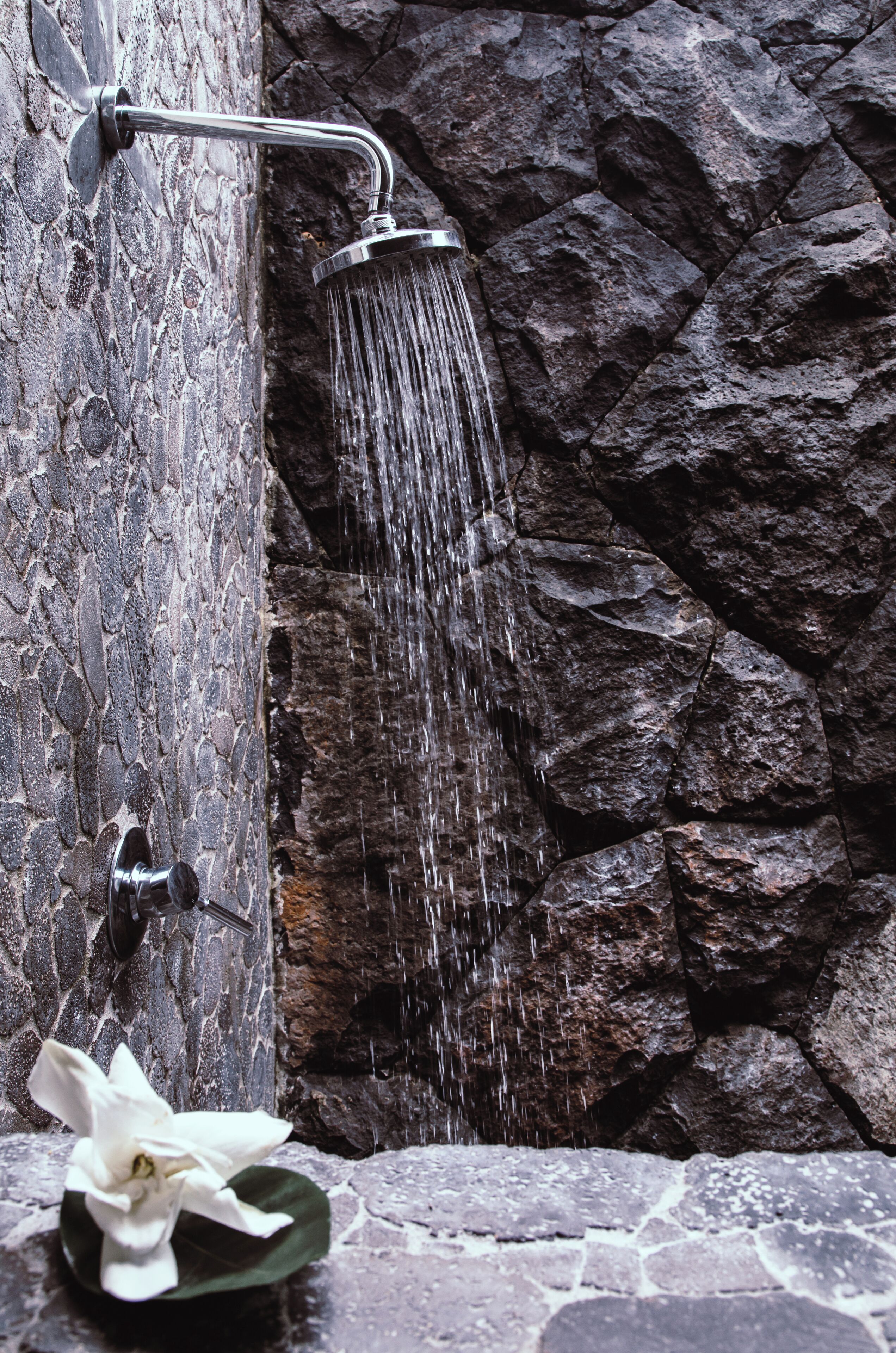 Executive Room | Bilik Mandi | Pancuran mandi, pengering rambut, tuala disediakan 