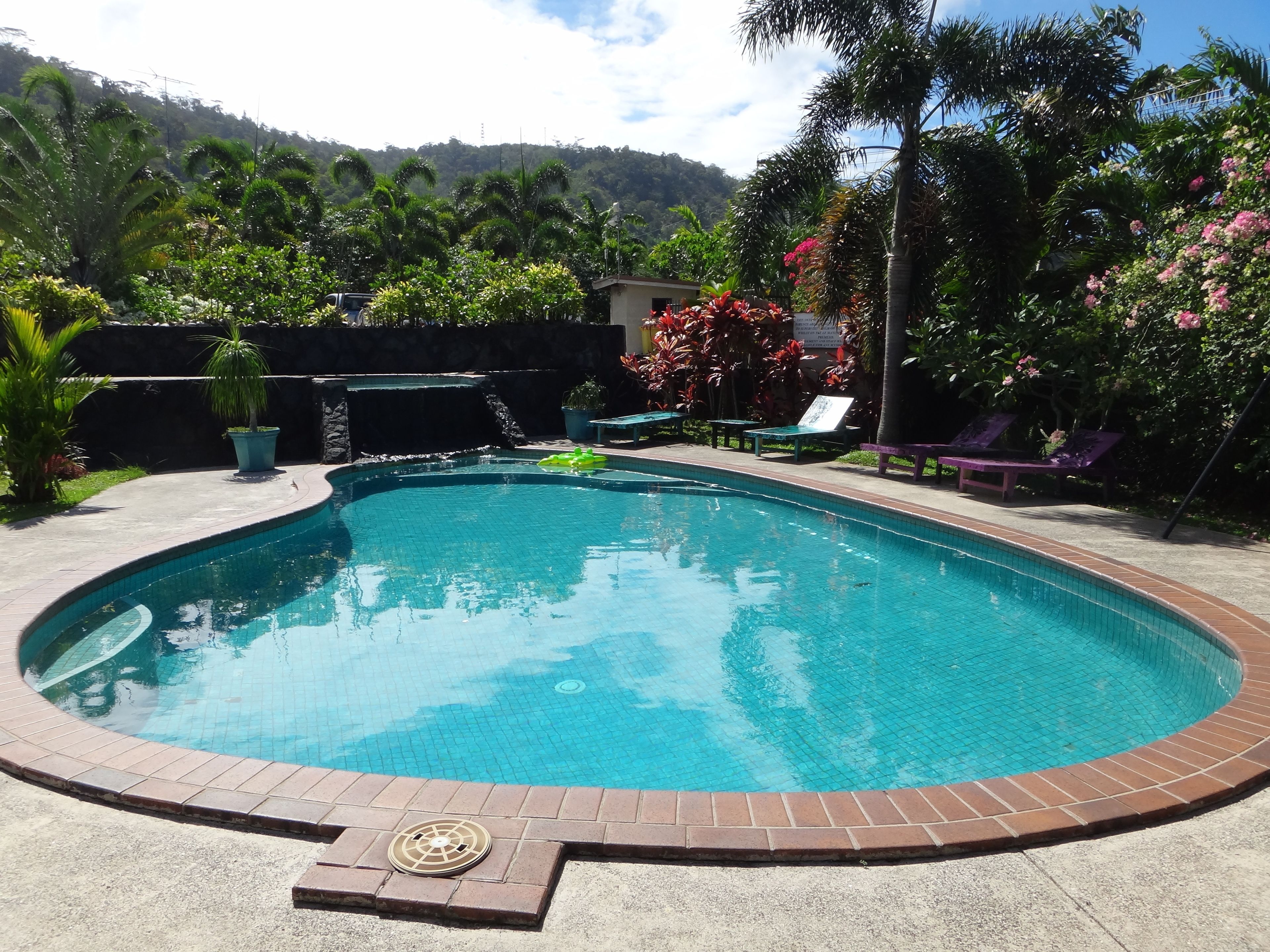 Una piscina con borde de ladrillo, rodeada de exuberante follaje y palmeras.