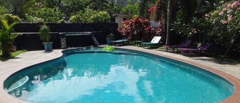 Una piscina con borde de ladrillo, rodeada de exuberante follaje y palmeras.
