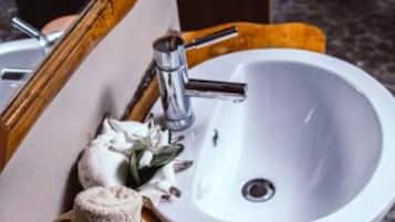 Executive Room | Bathroom