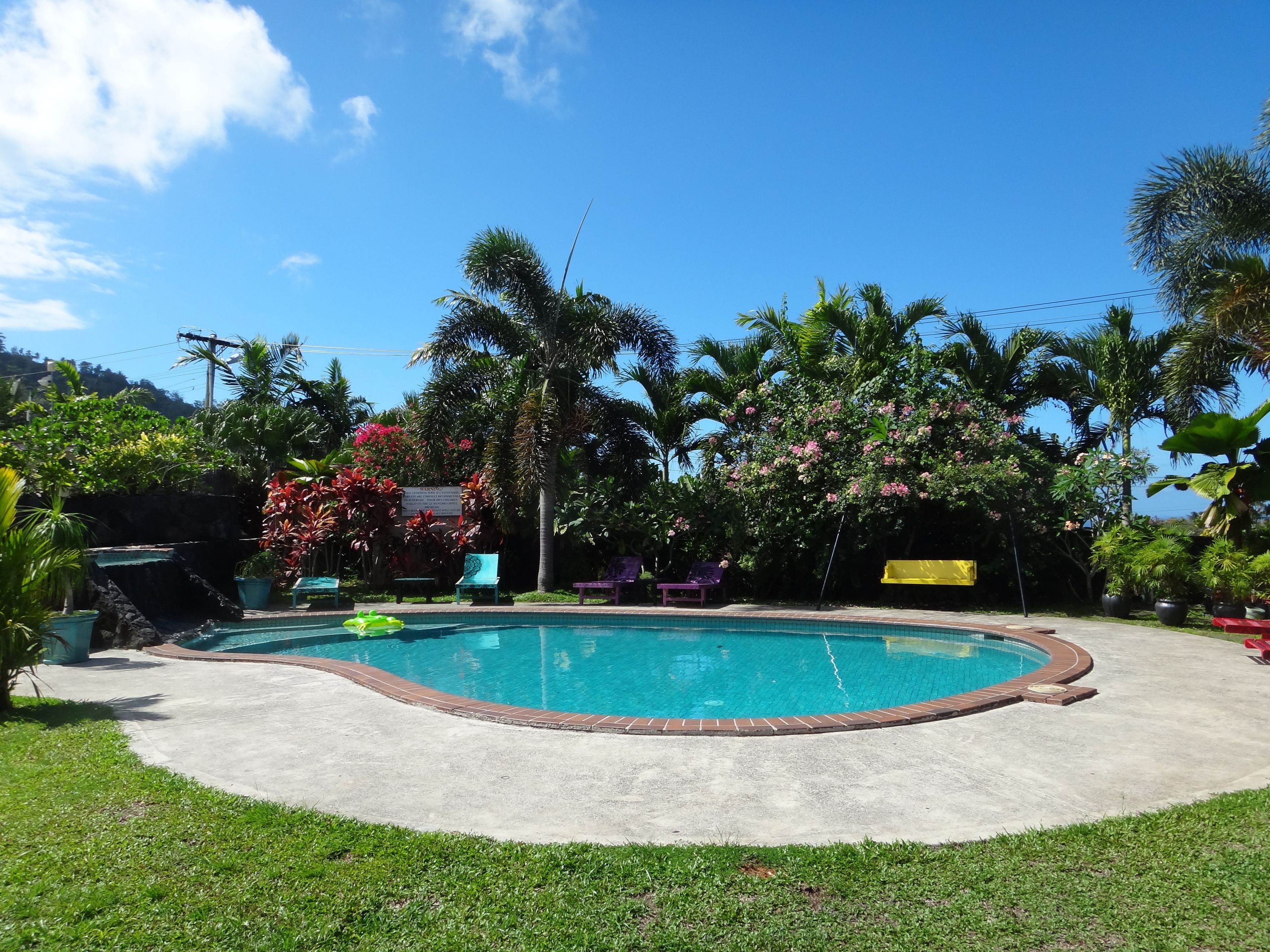 A swimming pool with a brick border, surrounded by grass and various tropical plants.