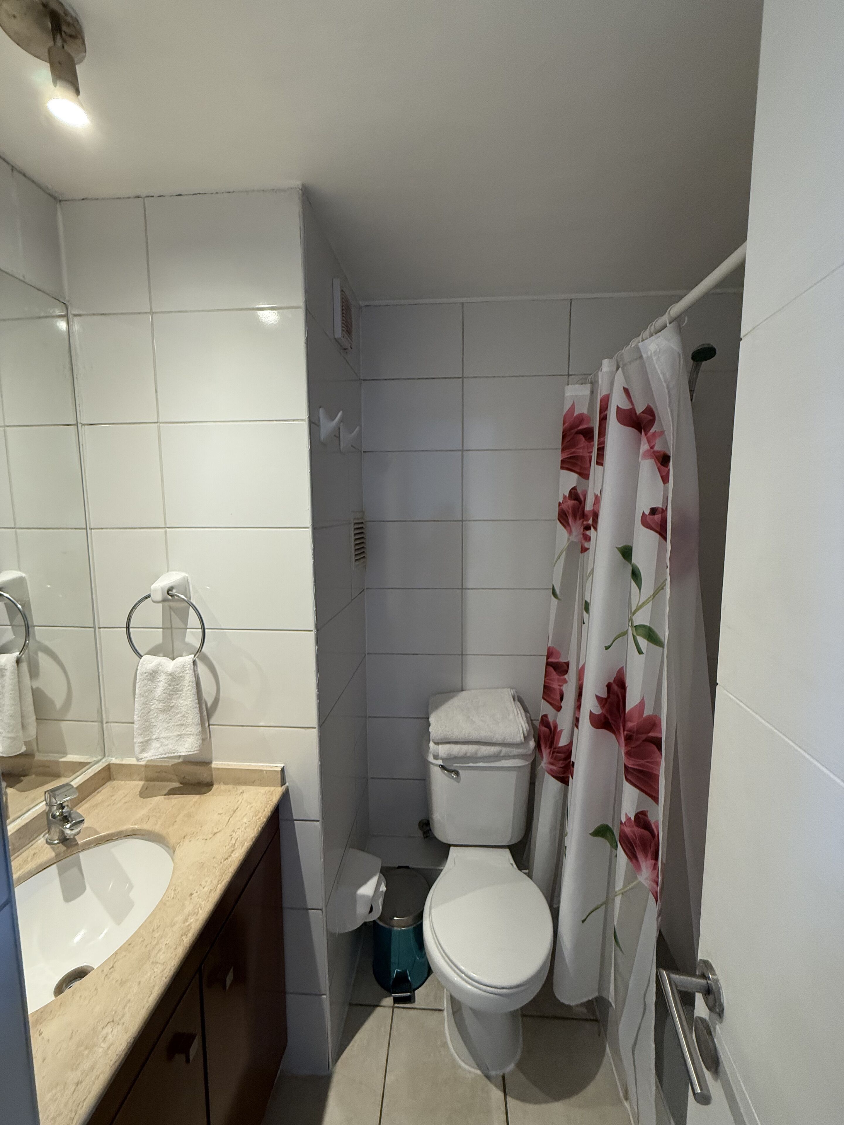 Un bagno con WC, lavandino e tenda per la doccia.