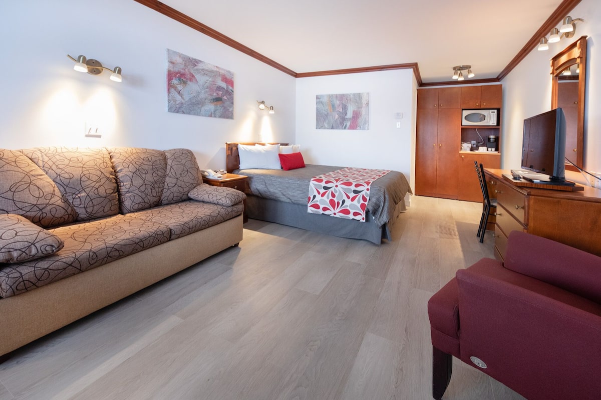 Deluxe kamer, 1 queensize bed met slaapbank | 1 slaapkamer, een bureau, een laptopwerkplek, verduisterende gordijnen