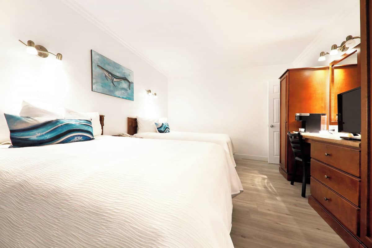 Standard Room, 2 Double Beds, Kitchen, Ground Floor | Desk, laptop workspace, blackout drapes, soundproofing