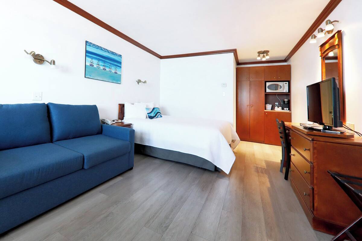 Deluxe Room, 1 Queen Bed with Sofa bed | Desk, laptop workspace, blackout drapes, soundproofing