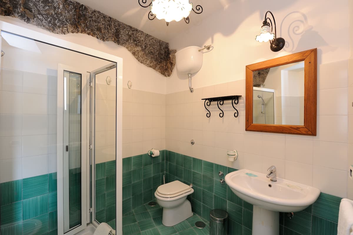 A bathroom with a glass shower enclosure, a toilet, and a sink with a mirror above it.