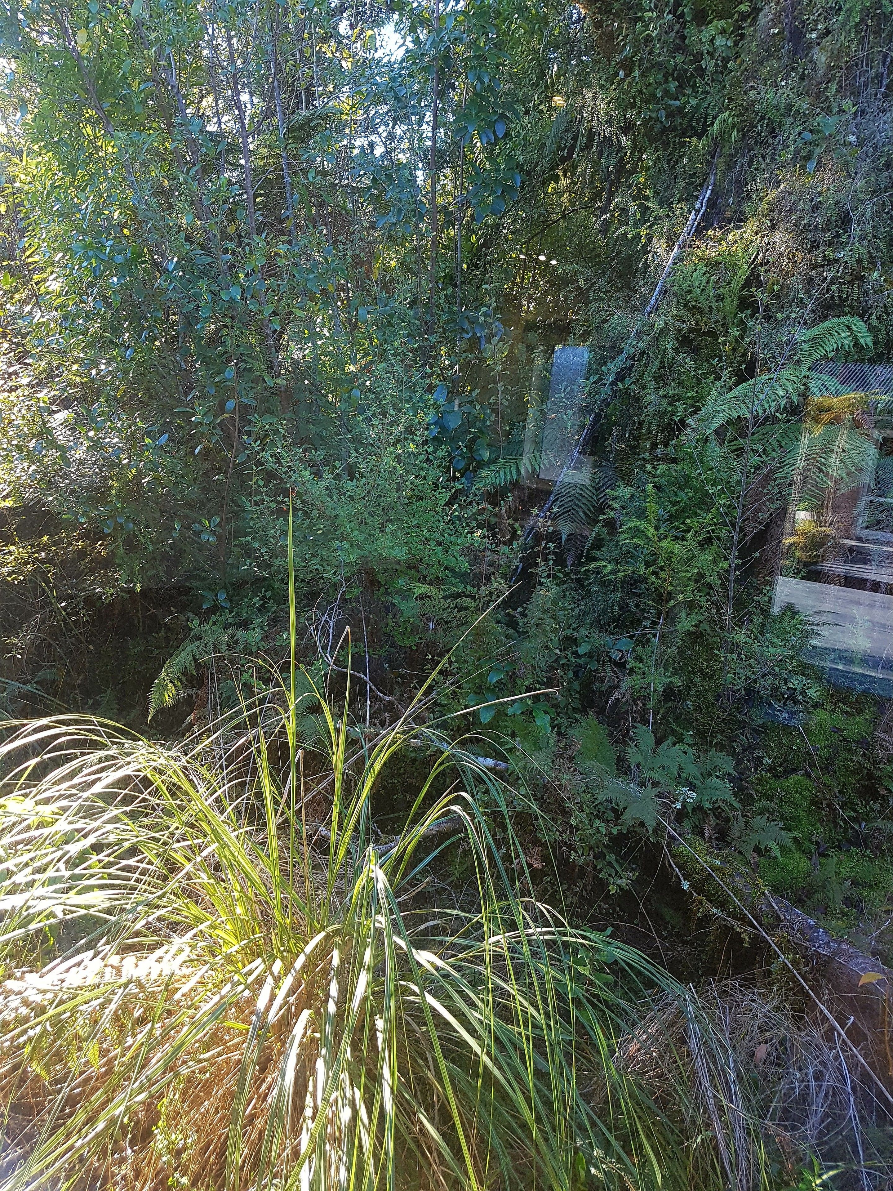 Daily continental breakfast for a fee