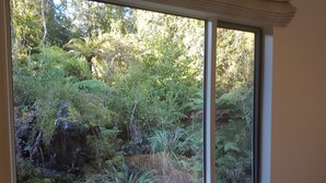 Una ventana con vistas a un jardín exuberante, con diversas plantas y un pequeño arroyo.