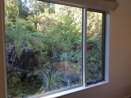 Vistas desde la habitación